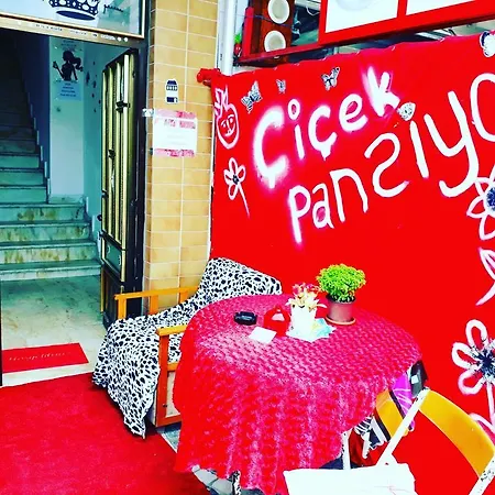Cicek Rum i privatbostad Türkeli